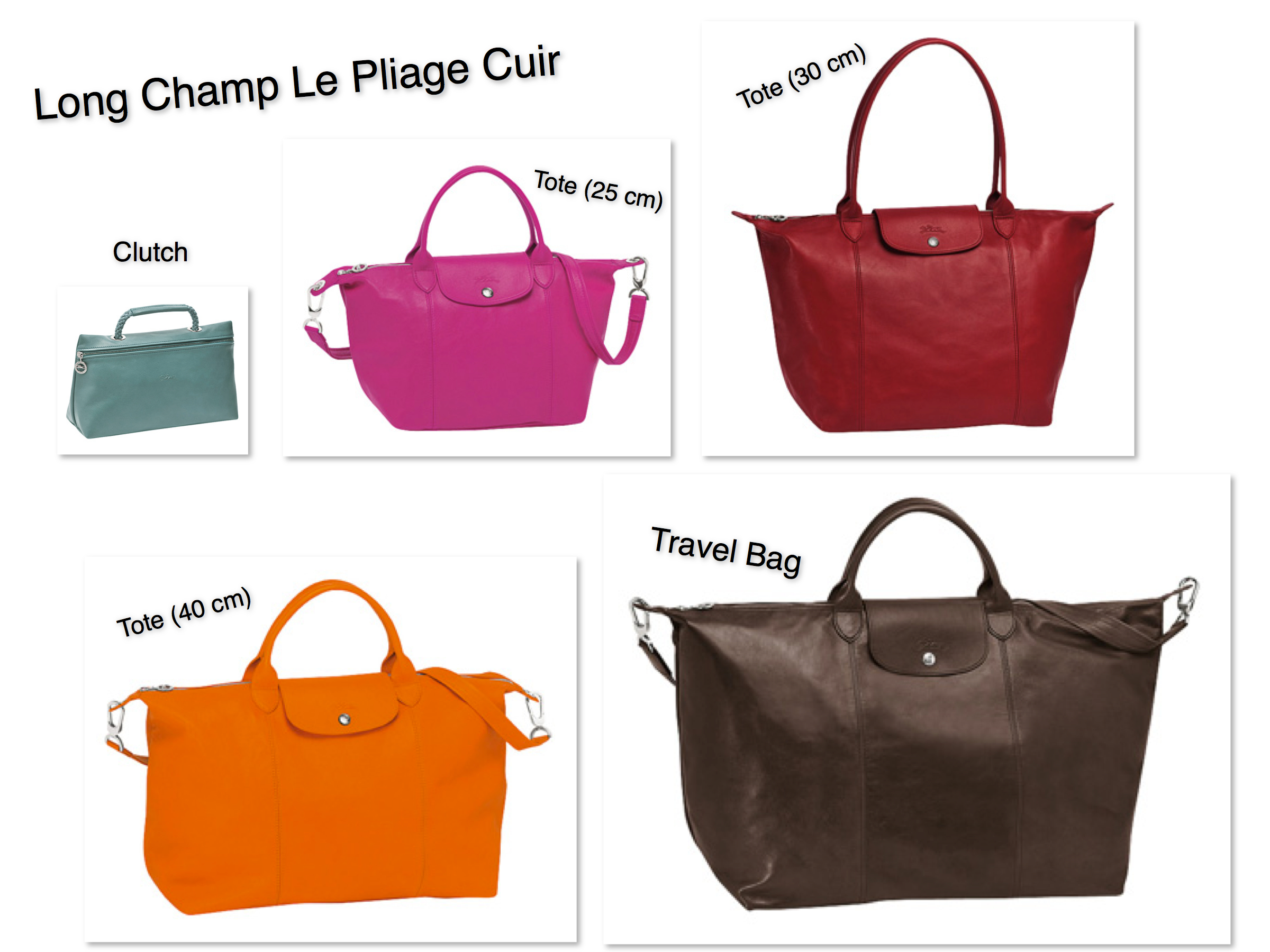 longchamp bag size in cm