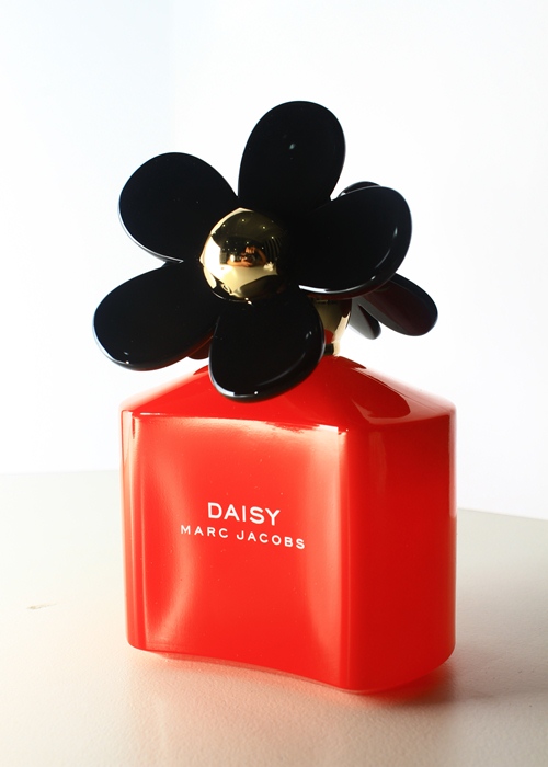 Daisy Pop Art Edition