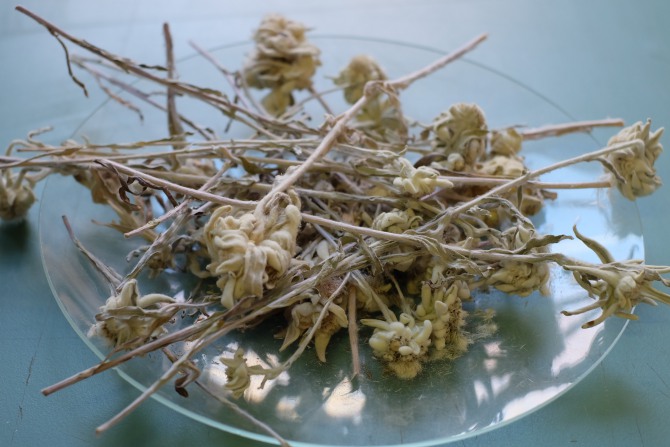 Edelweiss Flower Boleh Digunakan dalam Produk Skincare-6