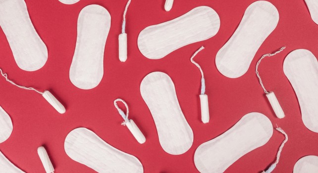 Sustainable Menstruation