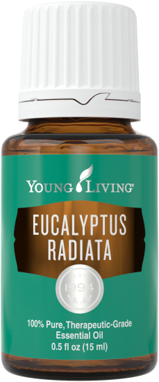YOUNG LIVING EUCALYPTUS RADIATA - MANFAAT EUCALYPTUS